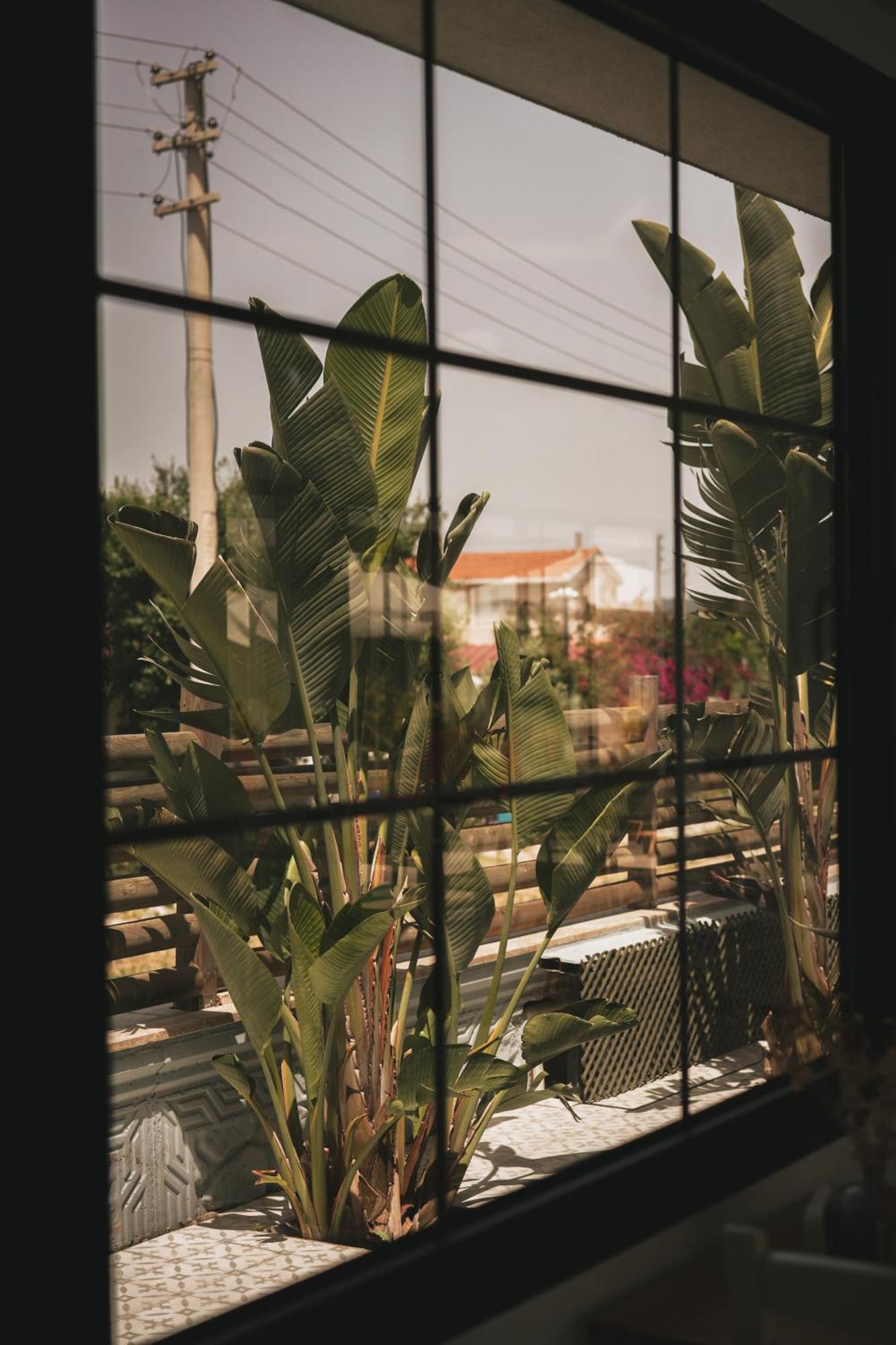 أورلا La Vida Otel المظهر الخارجي الصورة